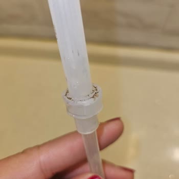 Wee Baby Mavi Suluğunda Hızlı Küf Oluşumu Ve Hijyen Endişesi
