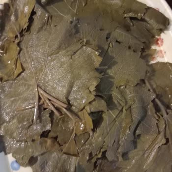 Tokat Yaprak Dükkanı Yanıltıcı Ürün Ve Cevapsız Hizmetle Mağdur Bıraktı
