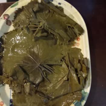 Tokat Yaprak Dükkanı Yanıltıcı Ürün Ve Cevapsız Hizmetle Mağdur Bıraktı