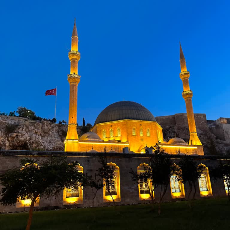 Gezipol Kaba Rehber Tutumu ve Yetersiz Organizasyon