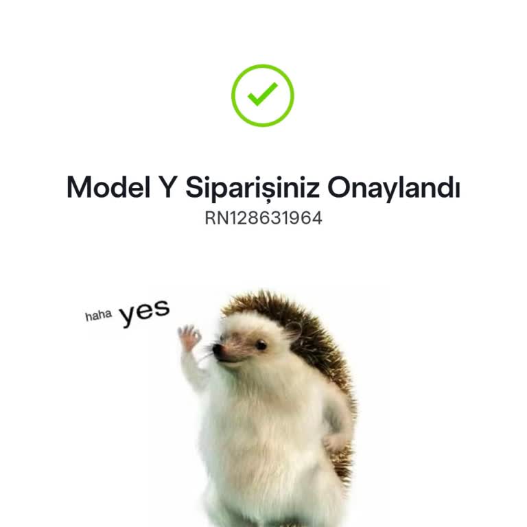 İptal Edilen Tesla Siparişinin 140.000 TL İadesi Gecikiyor
