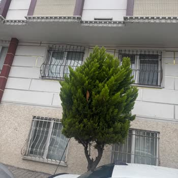 Esenyurt'ta Açık Kablolar Çocuk Güvenliğini Tehdit Ediyor