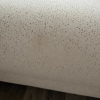 Ücretsiz Nakliye Sözünün İhlali Ve Koltuk Takımının Desen Silinmesi