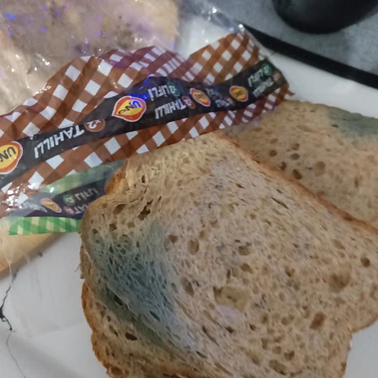Küflü Ekmekte Sağlık Riski Ve Migros’un Cevapsızlığı