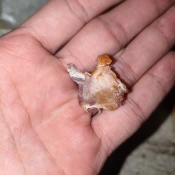 Yemeksepeti'nde Çiğ Pastırmalı Tost İade Reddine Şikayet