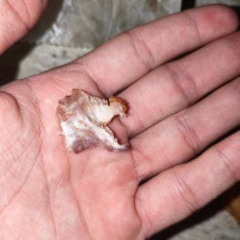 Yemeksepeti'nde Çiğ Pastırmalı Tost İade Reddine Şikayet