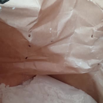 Carrefour SA’da Böcekli Un Satışı