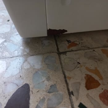 Altus Bulaşık Makinesinde Paslanma Ve Değişim Talebi