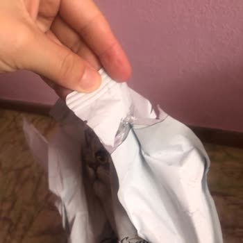 Hasarlı Kedi Maması Ve Geciken İade