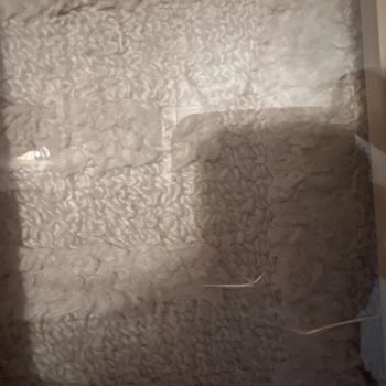 Kırık Oyuncaklar İçin Zara'nın Yetersiz Çözüm Teklifi