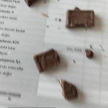 Vakko L'atelier Çikolata Bozuk Ölü Ve Canlı Kurtlar