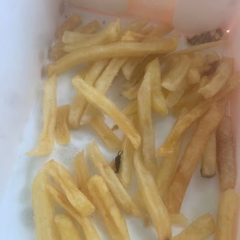 Popeyes Ankara Şubesinde Patates Kızartmasında Böcek
