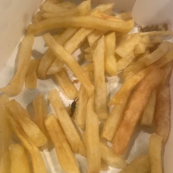 Popeyes Ankara Şubesinde Patates Kızartmasında Böcek