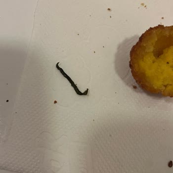 Burger King Ürününün İçinde Siyah Yabancı Maddeler