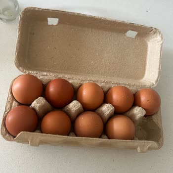 BİM'de Bozuk Gordo Yumurtaları 83 Yaşındaki Kanser Hastamı Hayata Tehdit Etti
