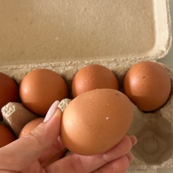 BİM'de Bozuk Gordo Yumurtaları 83 Yaşındaki Kanser Hastamı Hayata Tehdit Etti