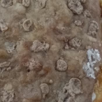 Eksik Kova Patates Ve Kalitesiz Köfte: Burger King Şubesinde Özensiz Paketleme Ve İade Talebi