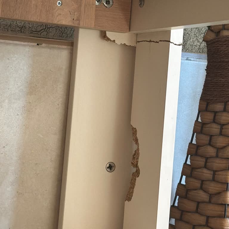 Mersin Mağazasındaki Kırık Ranzanın Ücretsiz Onarımı Talep Ediliyor