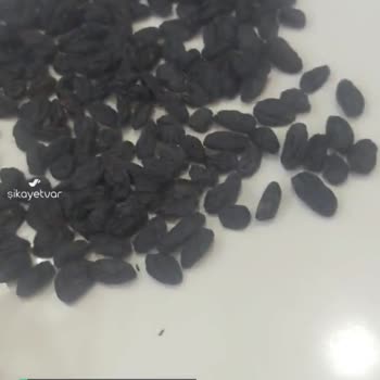 Çocuğumun Tükettiği Çitello Üründen Böcek Çıktı!