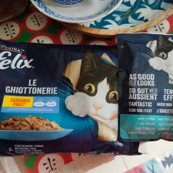 Bozuk Koku Ve Tazelik Sorunu: Felix Ton Balıklı Ve Purina Somonlu Kuru Mamalar