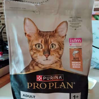 Bozuk Koku Ve Tazelik Sorunu: Felix Ton Balıklı Ve Purina Somonlu Kuru Mamalar