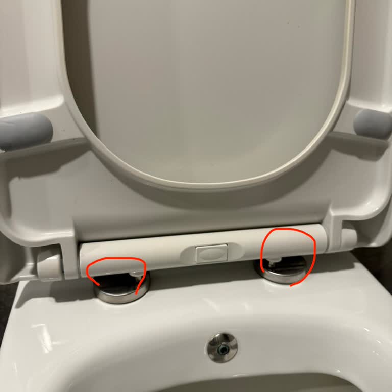 Kale Hygiene Klozet Kapağının Çatlayan Blok Parçası İçin Yedek Parça Ve Değişim Talebi