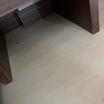 Noxinn Club Otel’de Saygısız Personel Ve Hijyen Sorunları
