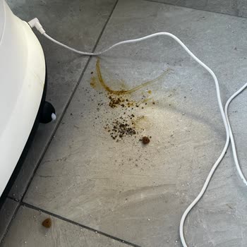 Haustier Ürünü Aldığımız Günden Beri Tuvalet Haznesinin Dışına Sürekli İdrar Kaçırıyordu