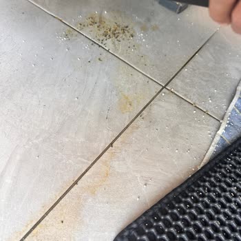 Haustier Ürünü Aldığımız Günden Beri Tuvalet Haznesinin Dışına Sürekli İdrar Kaçırıyordu