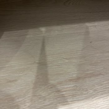 Dreame Robot Süpürge Titreme Ve Su Sızdırma Sorunu Çözülmedi, Değişim İsteniyor