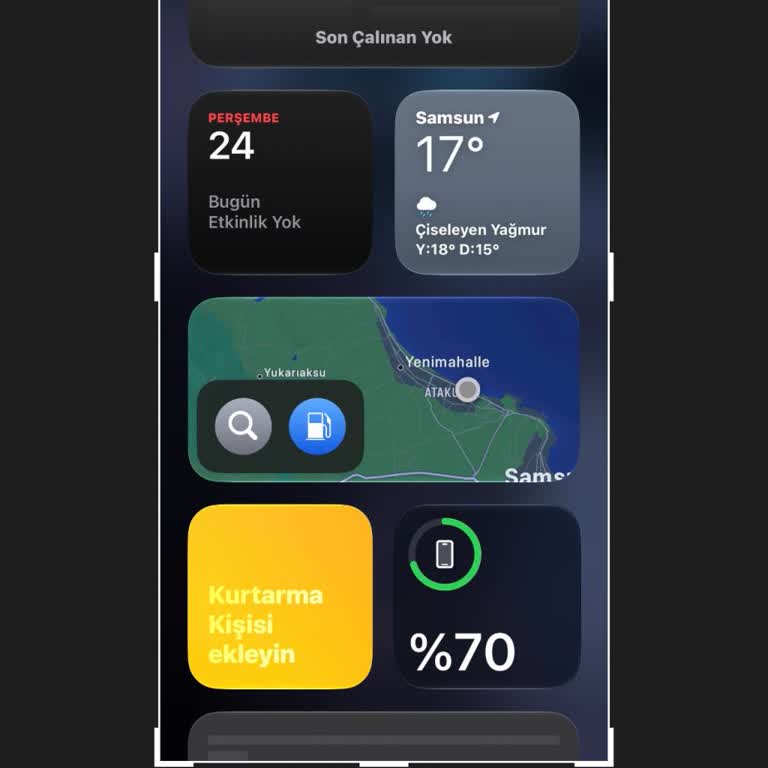 Apple Pro Ve Pro Max'e Ayrıcalık, Diğer İPhone Modellerinde Özellik Eksikliği