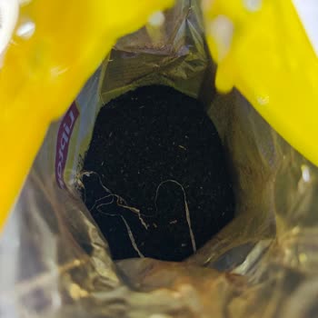 Lipton Çay Paketi İçinde Yabancı Madde Bulunması