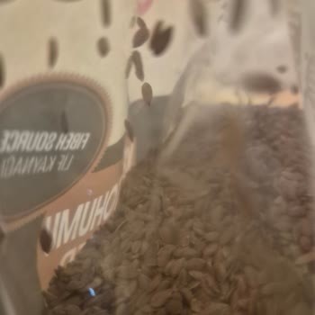 Yayla Keten Tohumunda Güve Ağına Benzer Yapılar Ve Yabancı Dallar
