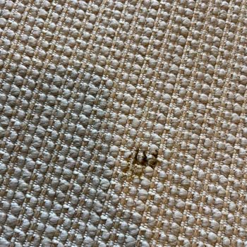 Alya Halı’da Tekrarlanan Tiftiklenme Ve Kaba Müşteri Tutumu