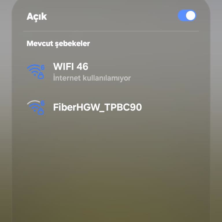 Gün Boyunca İnternet Kesintisi Ve Hızlı Çözüm Talebi
