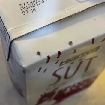 Haraş Sütünde Böcek Ve Yumurta Bulunması Çocuk Sağlığını Tehlikeye Atıyor