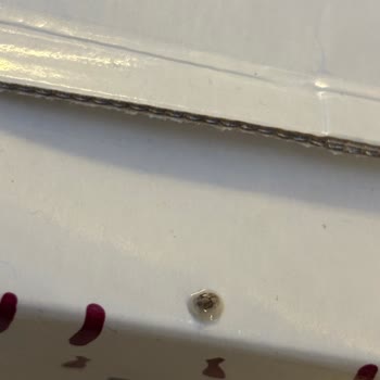 Haraş Sütünde Böcek Ve Yumurta Bulunması Çocuk Sağlığını Tehlikeye Atıyor