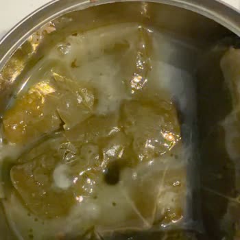 Zel Global Konserve Yaprak Sarma Ürününün Jelimsi Suyu Ve Küflenmesi Gıda Güvenliğini Tehdit Ediyor