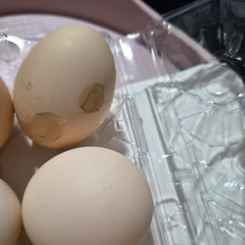 Yanlış Ürün Gönderimi, Kırık Yumurta Ve Uzun Teslimat Gecikmesi