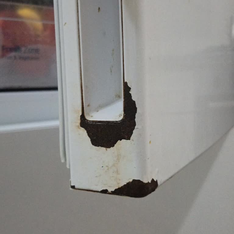 Garanti Süresi Var Olmasına Rağmen Buzdolabı Kapak Ve Kolu Paslanması Servis Tarafından Reddedildi