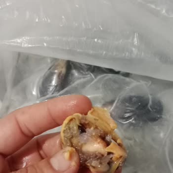 Dondurulmuş Kabuklu Midyede Çamur Ve Sakal Tespiti
