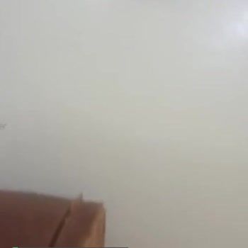 Torku Sucukta Kıl Çıkması Çok Üzücü