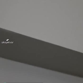 Avcılar Belediyesi Sivrisinek İstilası Sorunu