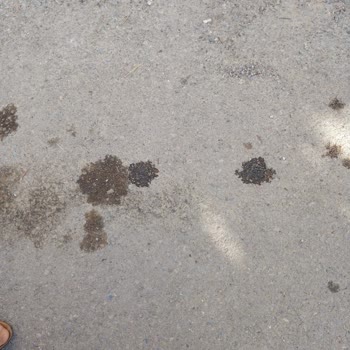 Yanlış Yakıt Dolumu Sonrası Araçta Oluşan Hasar Ve Müşteri Hizmetleri İhmaline Dair Şikayet