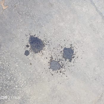 Yanlış Yakıt Dolumu Sonrası Araçta Oluşan Hasar Ve Müşteri Hizmetleri İhmaline Dair Şikayet
