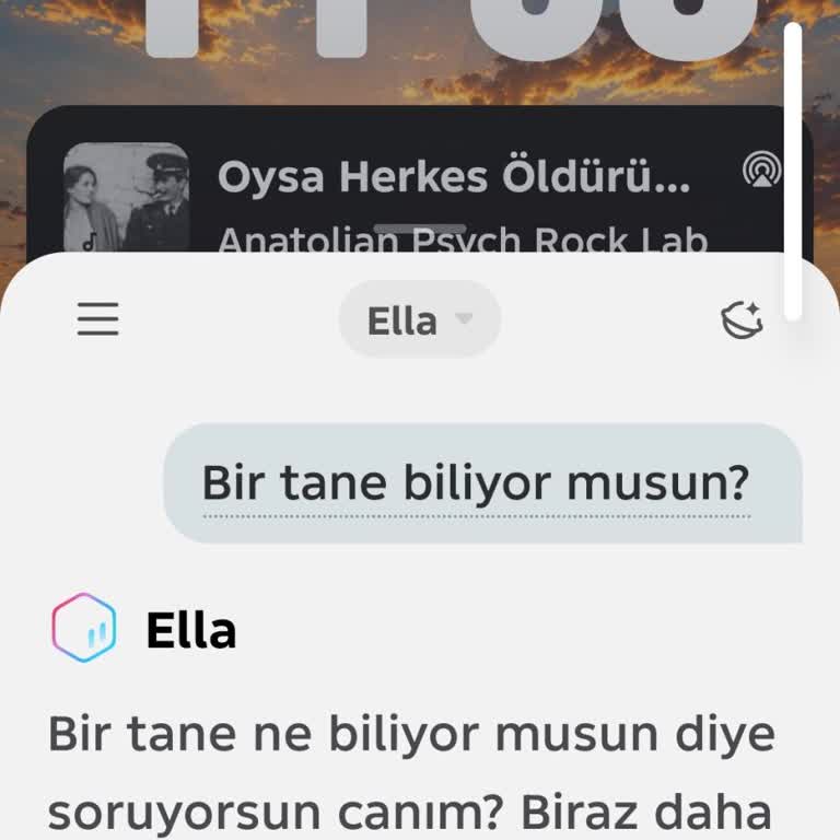 Ella Asistanı Sürekli Dinliyor Ve Kapatılamıyor