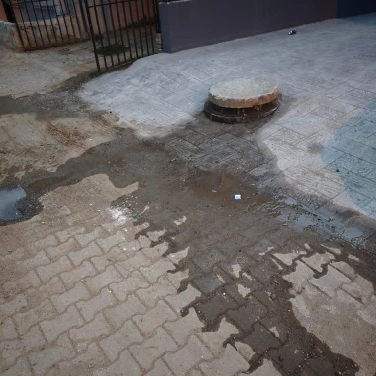 Acil Kanalizasyon Sızıntısı Ve Koku Sorunu İçin Müdahale Talebi
