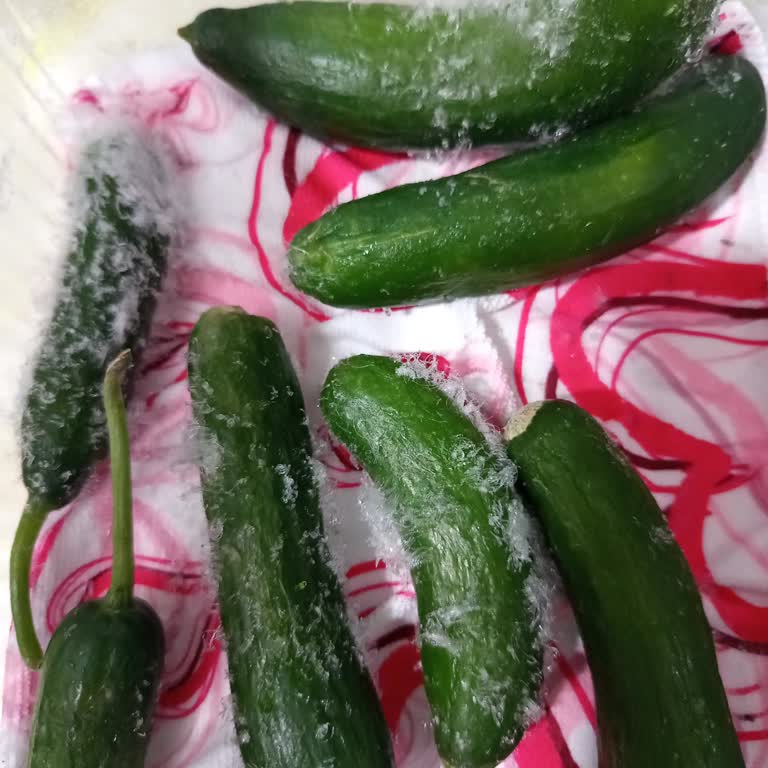 Arçelik Buzdolabım Soğutma Sorunu Tekrarlıyor Ve Ürünler Donuyor