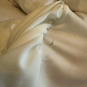 Üç Ürün Yırtık Geldi, Şirket 14 Gün Kuralıyla Sorumluluk Reddetti