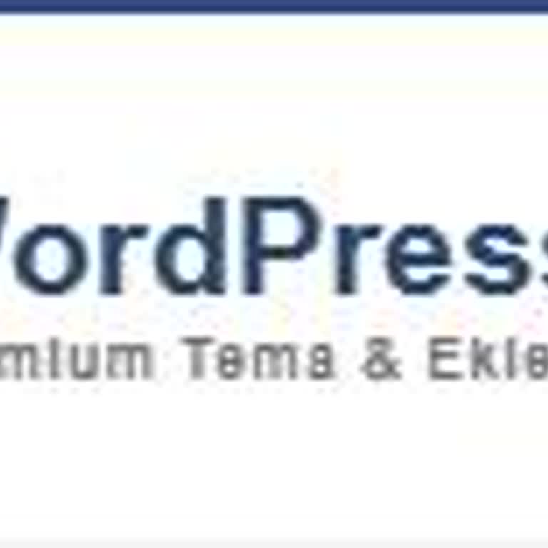 Satın Alınan Wordpress Eklentisi Lisans Sorunu Ve Destek Yanıtı Yok: 490 TL İadesi Talebi